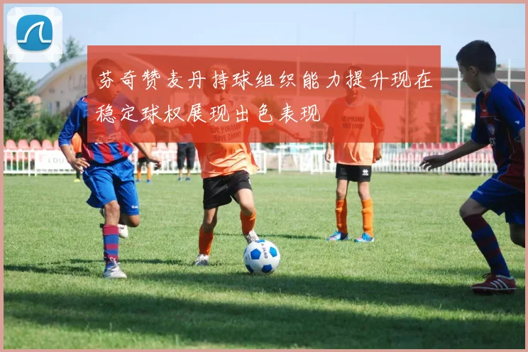 芬奇赞麦丹持球组织能力提升现在稳定球权展现出色表现