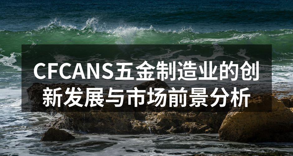 CFCANS五金设备生产线